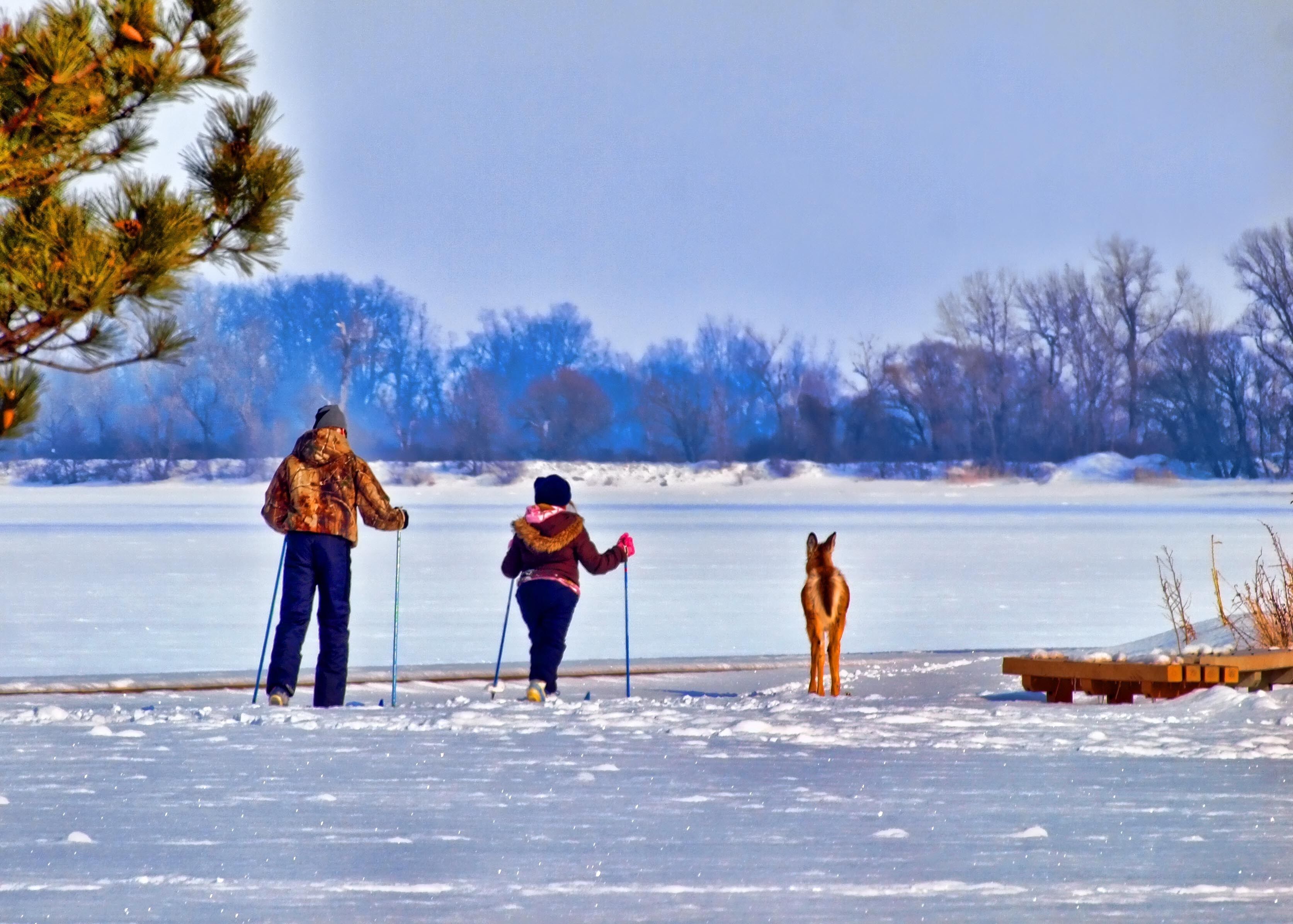 Snow and ski sports