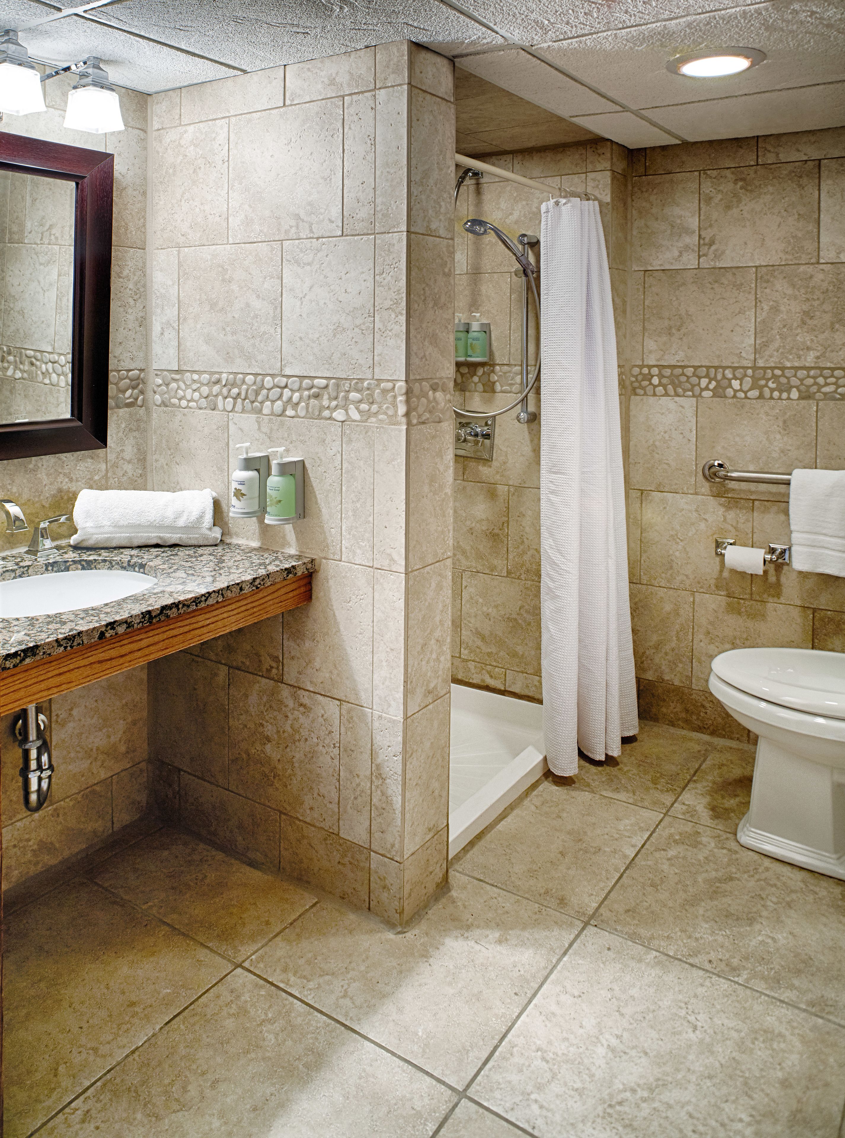 combined shower/bathtub, free toiletries, hair dryer, towels