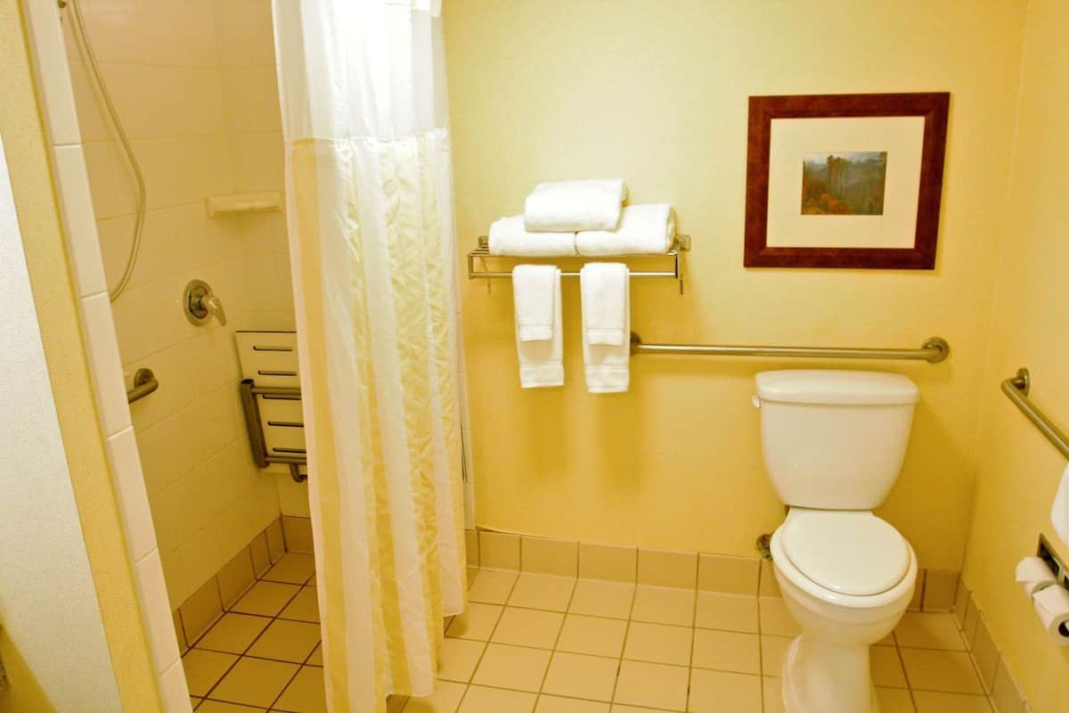 A bathroom with a shower, toilet, and towel rack.