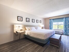 Premium bedding, in-room safe, desk, iron/ironing board