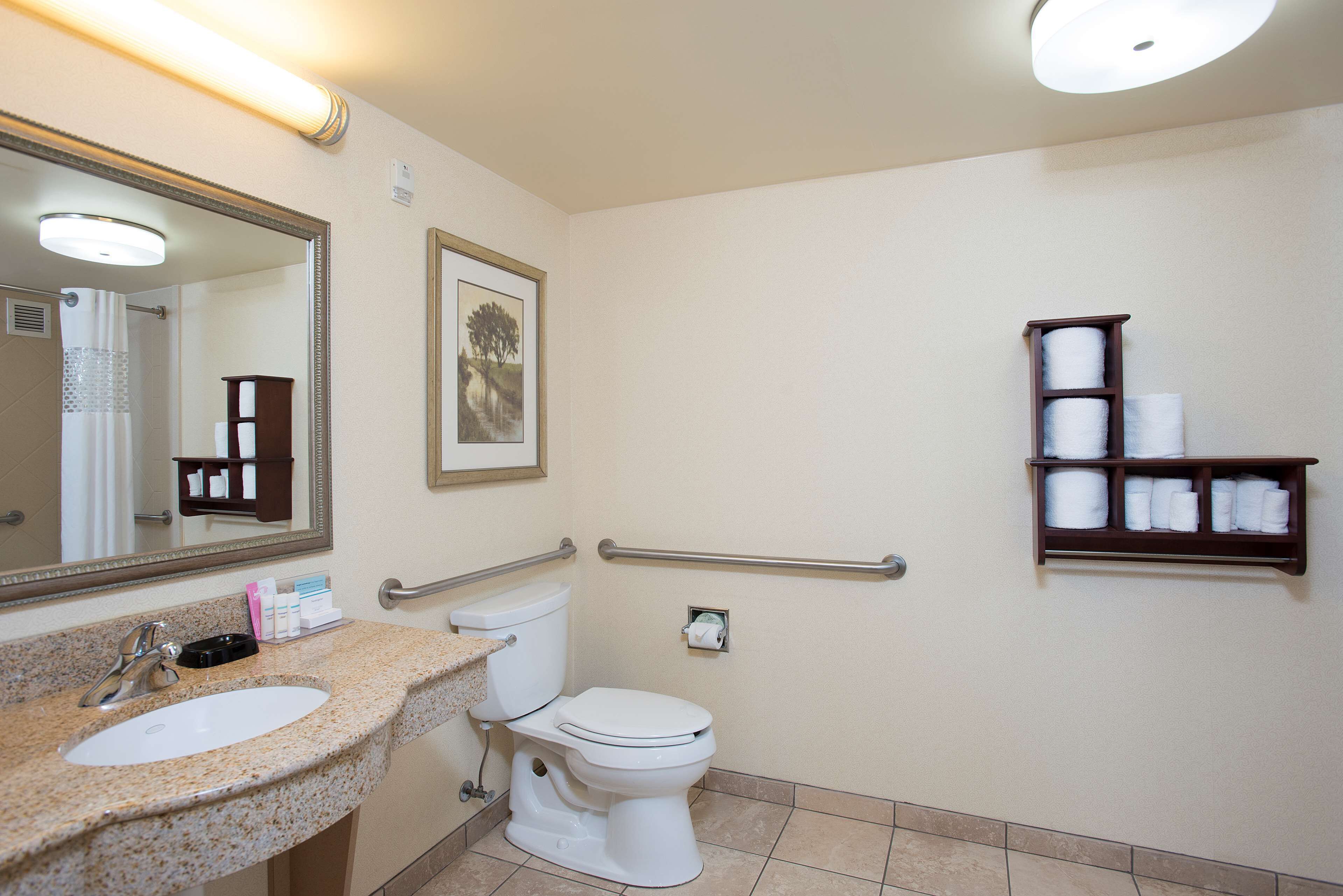 A bathroom with a sink, toilet, and handrails.