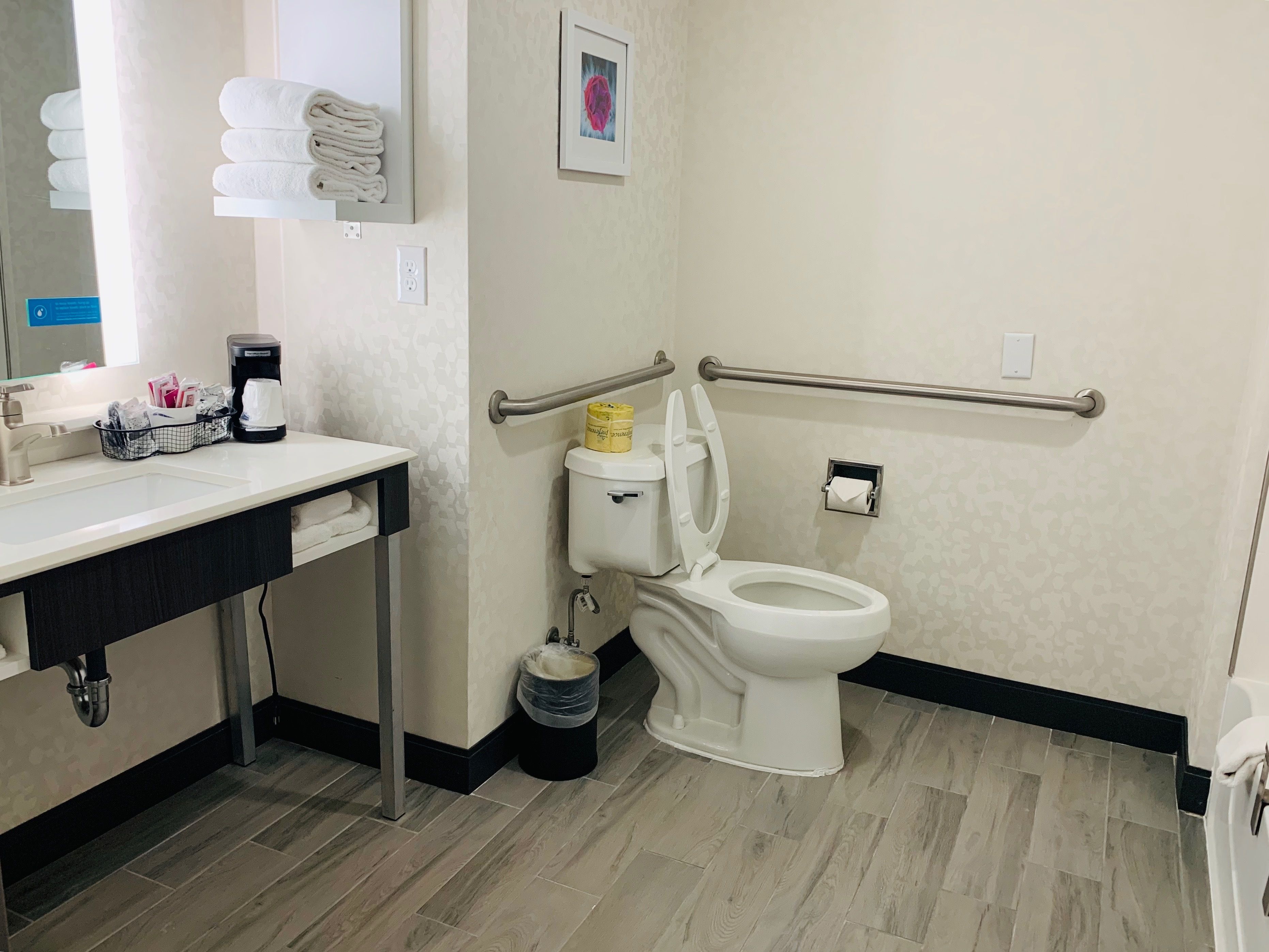 A bathroom with a toilet, sink, and handrail.