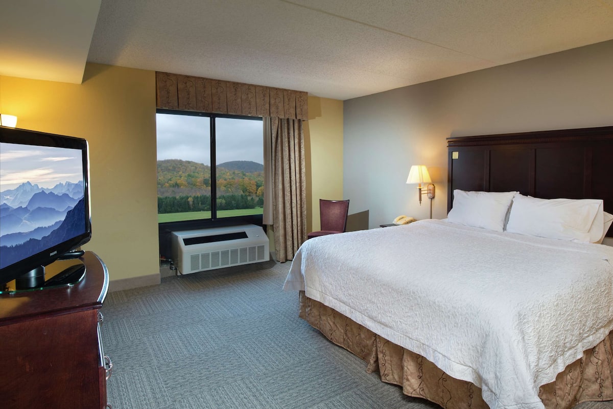 A hotel room with a large bed, a TV, a window with a mountain view, a heater, and a lamp.