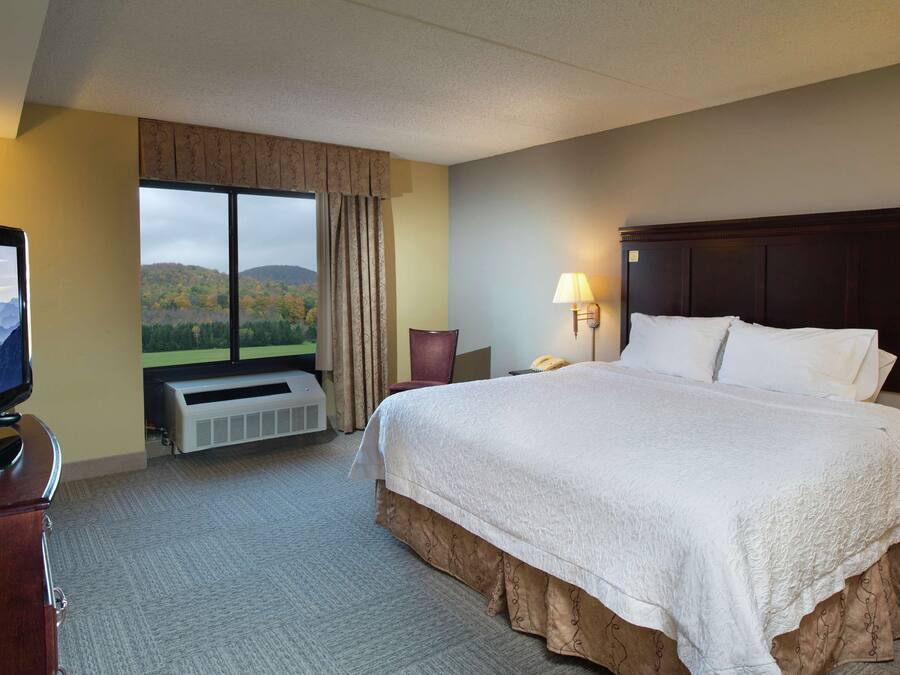 A hotel room with a large bed, a TV, a window with a mountain view, a heater, and a lamp.