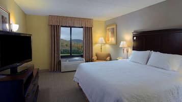 A hotel room with a large bed, a television, a chair, a desk with a lamp, and a view of the outdoors.