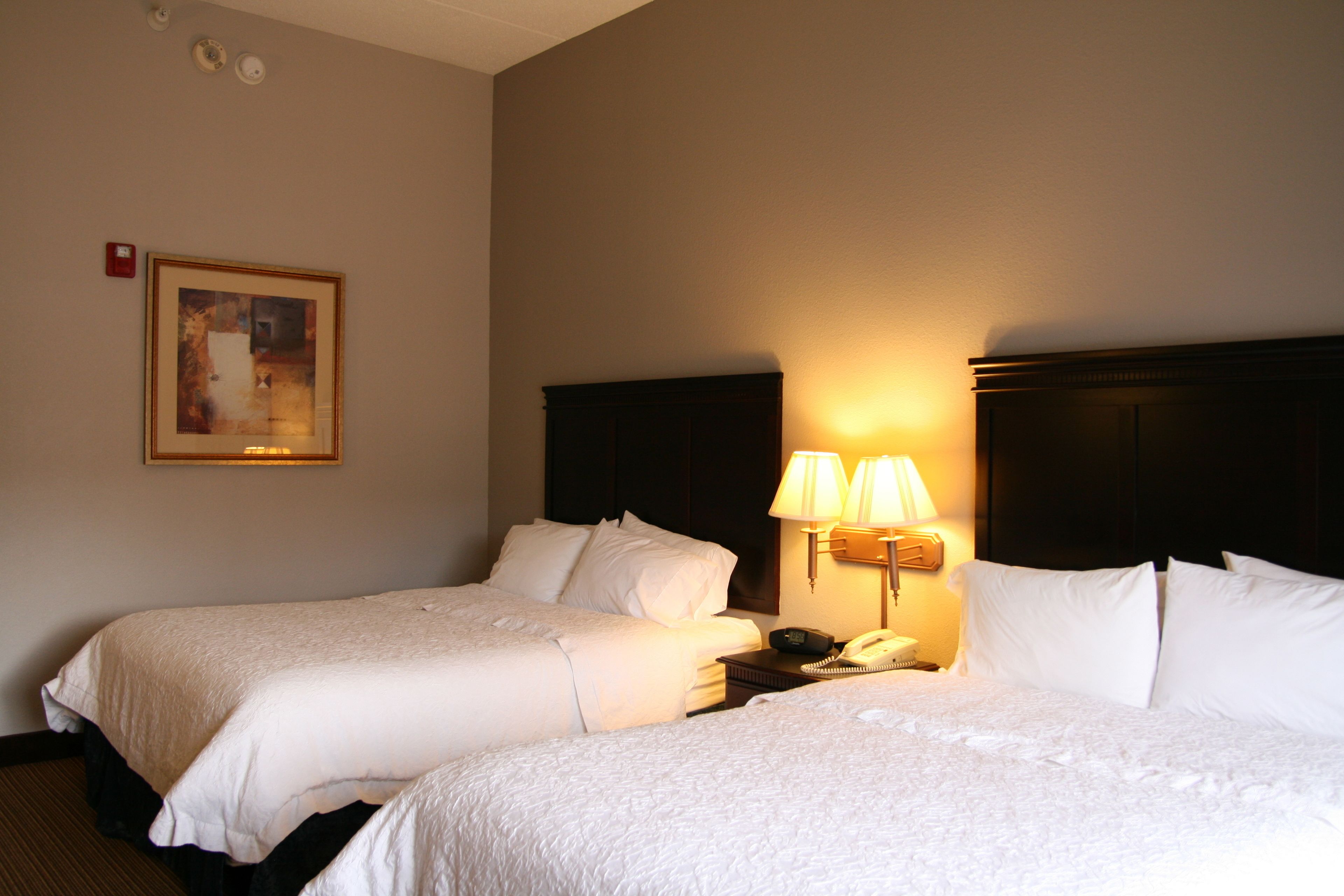 A hotel room with two beds, a nightstand with a lamp, and a framed picture on the wall.