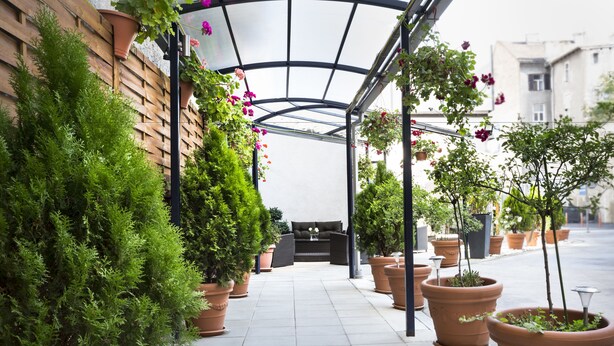 Un espace extérieur abrité, agrémenté de plantes en pot et d’un coin salon.