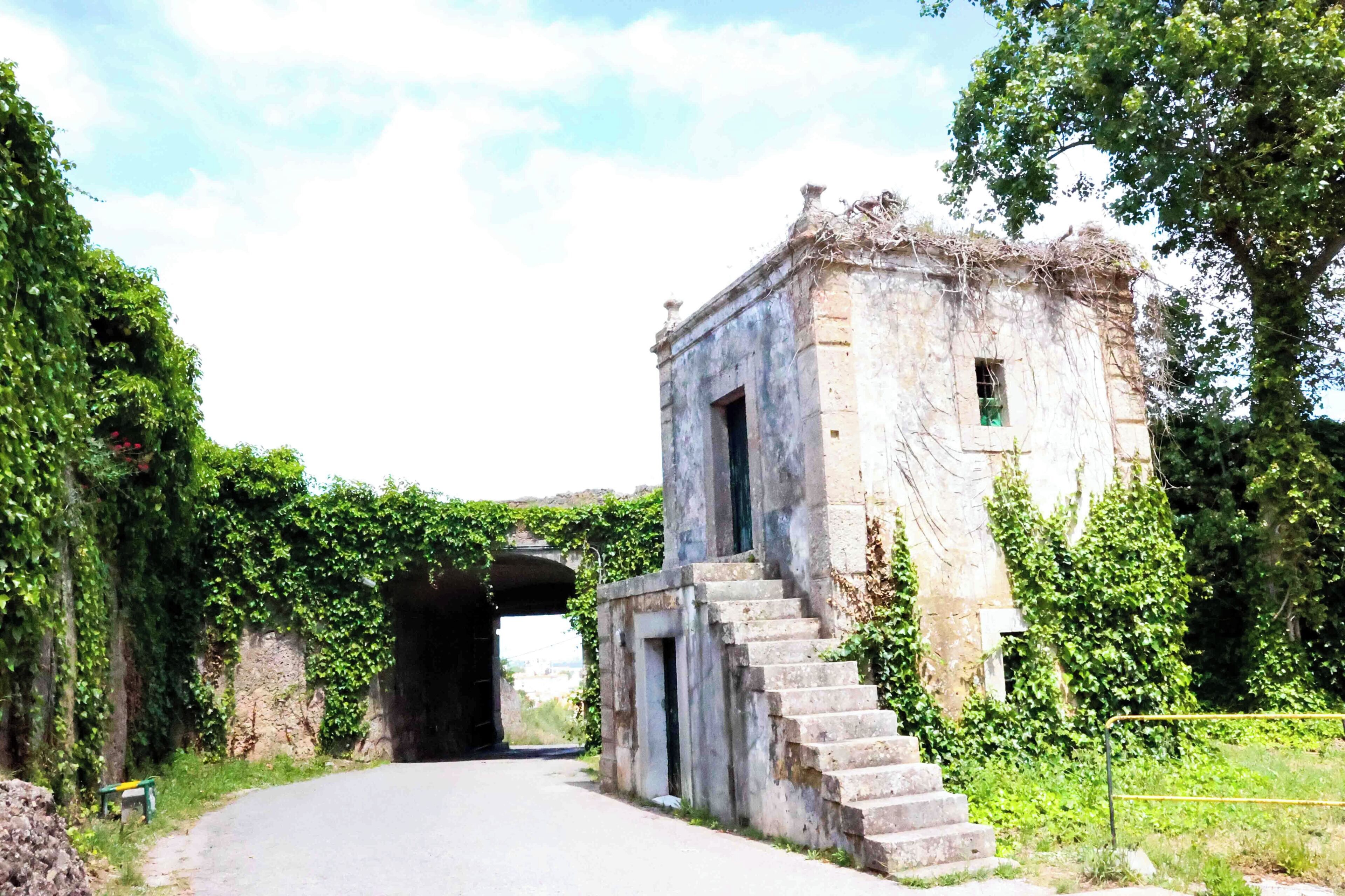 Photo - Hotel Aranguês