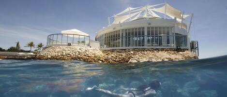 Un bâtiment moderne à la structure circulaire et à la façade transparente, situé au bord d’une piscine aux eaux claires, où l’on peut apercevoir des rochers et un nageur.