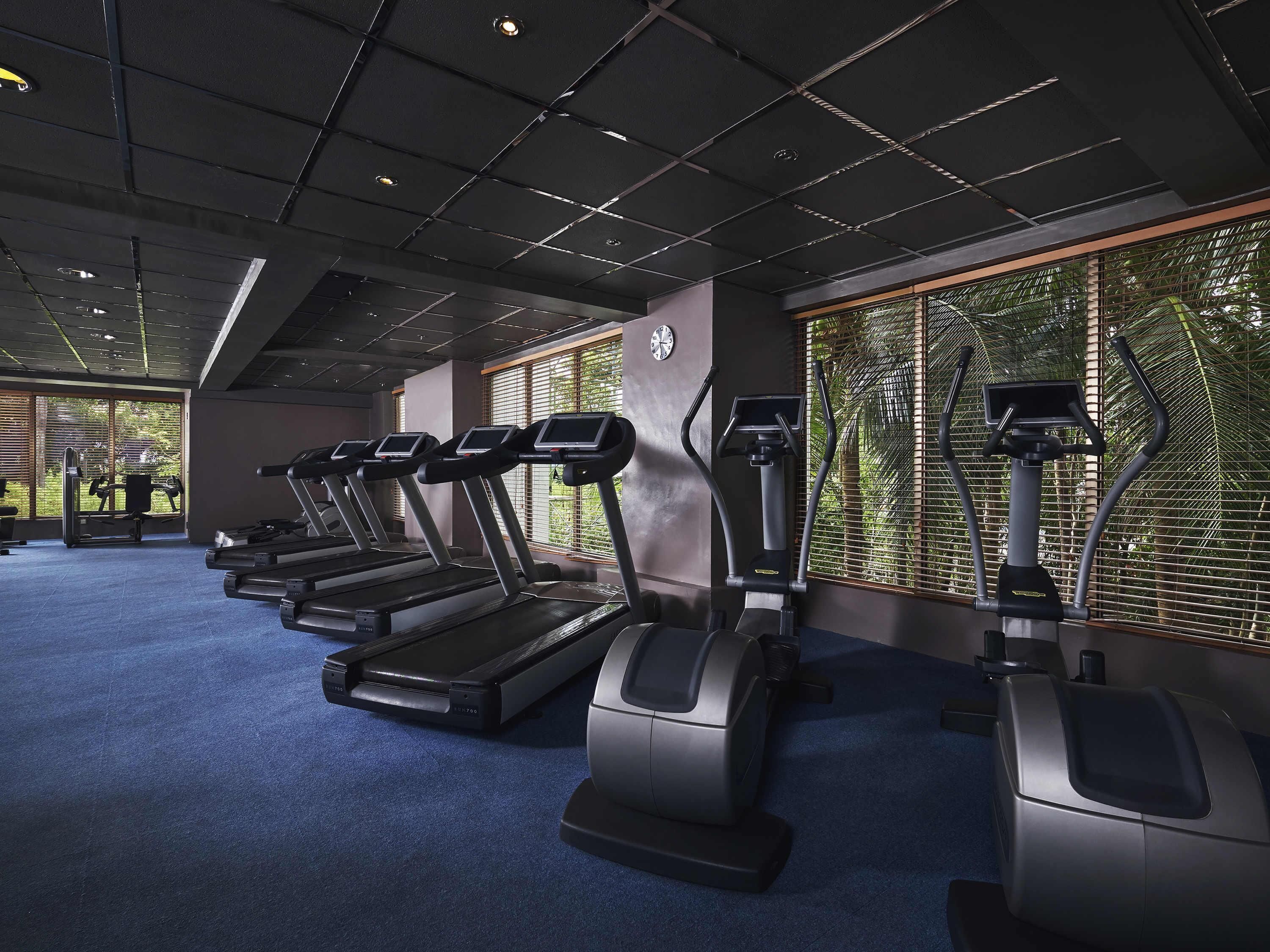 Un gimnasio con cintas de correr, bicicletas estáticas y una alfombra azul.