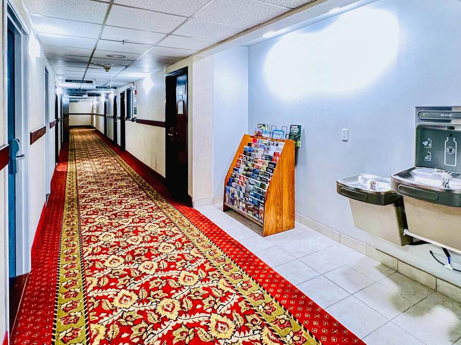 Un pasillo de hotel con alfombra roja, un mostrador de recepción, un dispensador de agua y una planta.