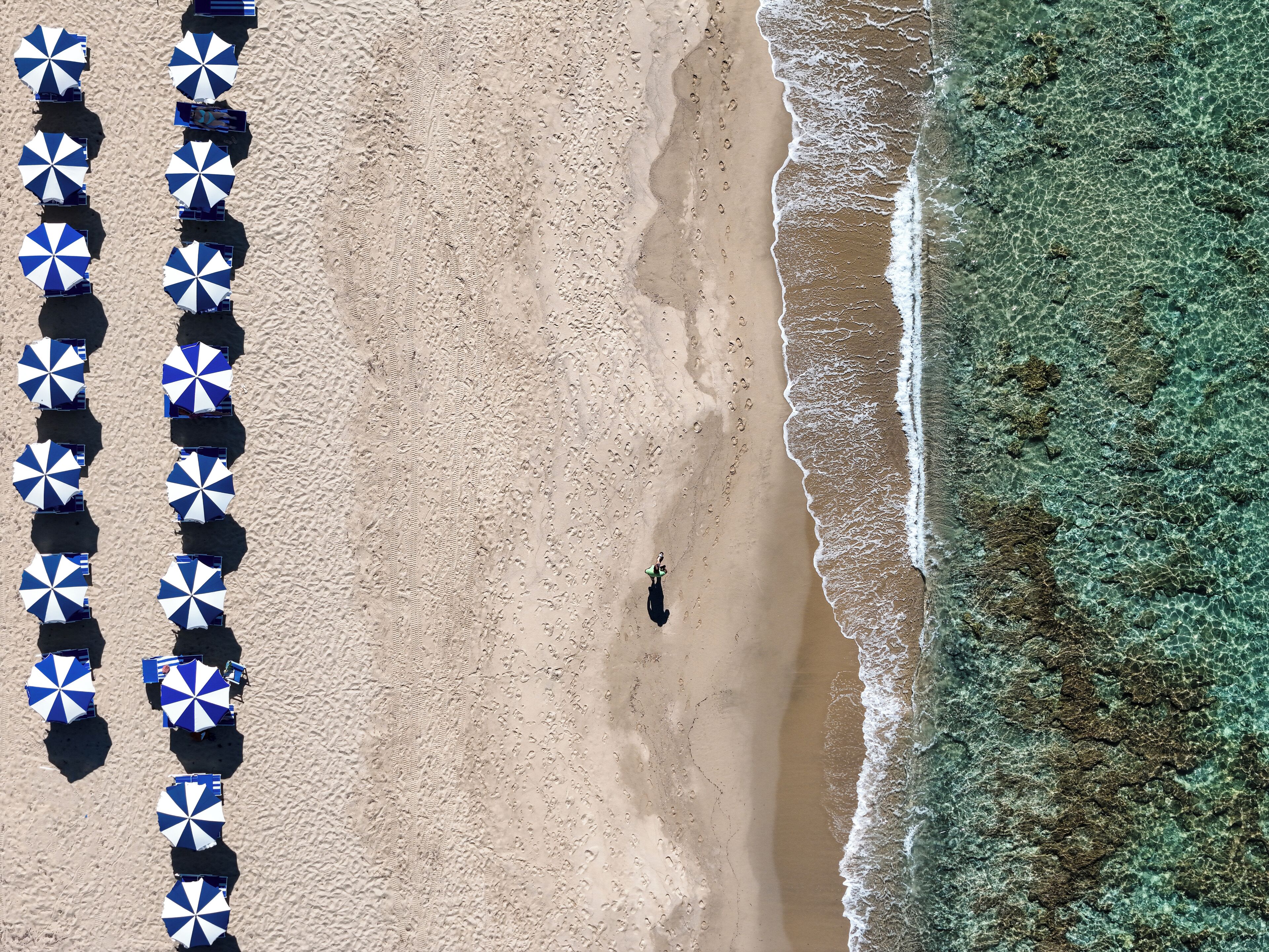 Vista aérea de una playa con hileras de sombrillas azules y blancas, una orilla arenosa y una persona caminando por la playa.