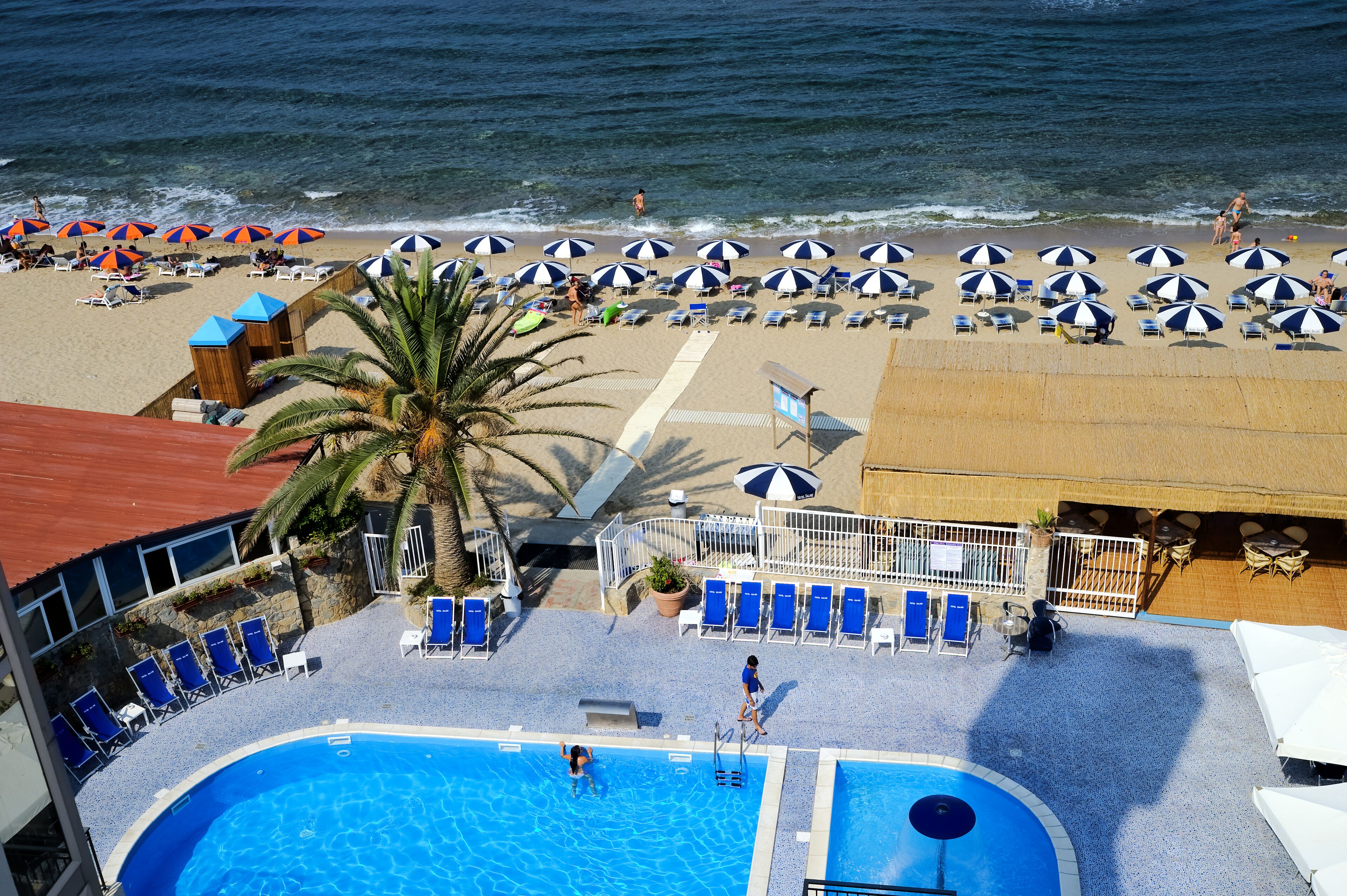 A pool area with lounge chairs and umbrellas, a palm tree, and a view of the beach and ocean.