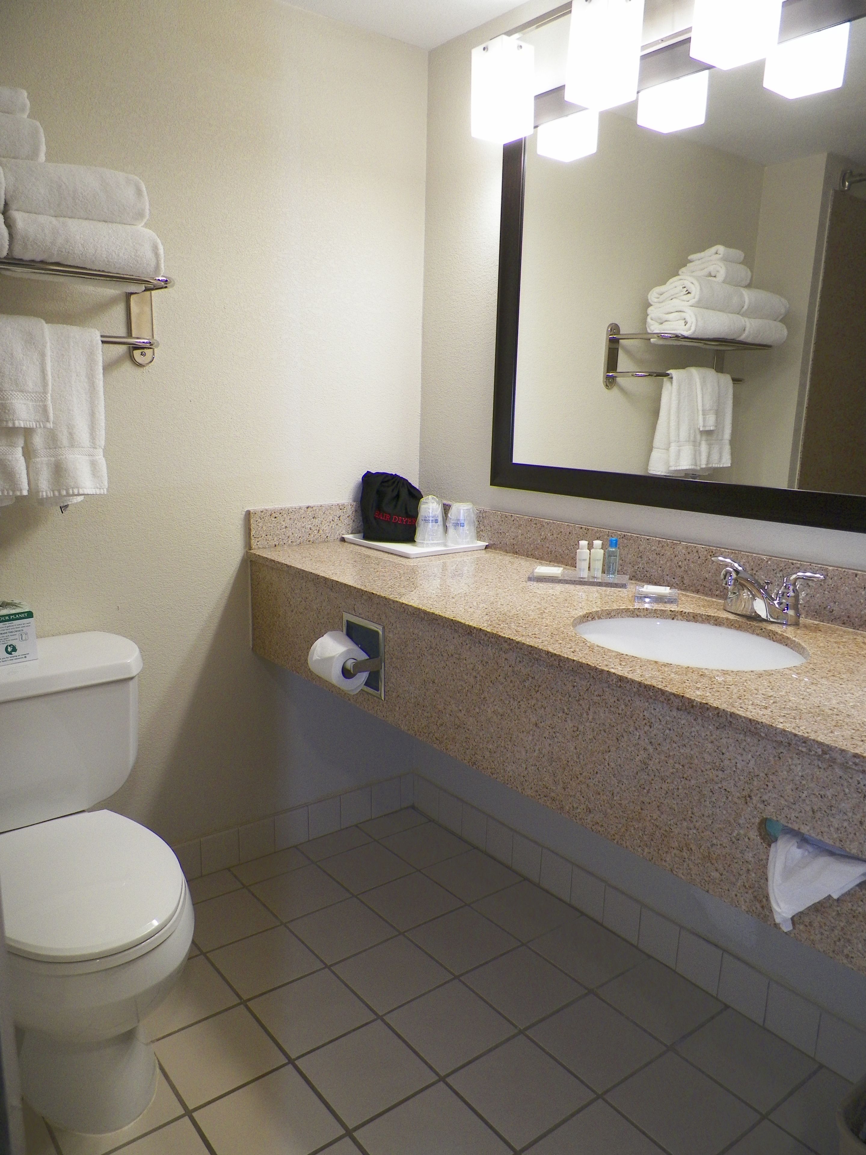 combined shower/bathtub, free toiletries, hair dryer, towels