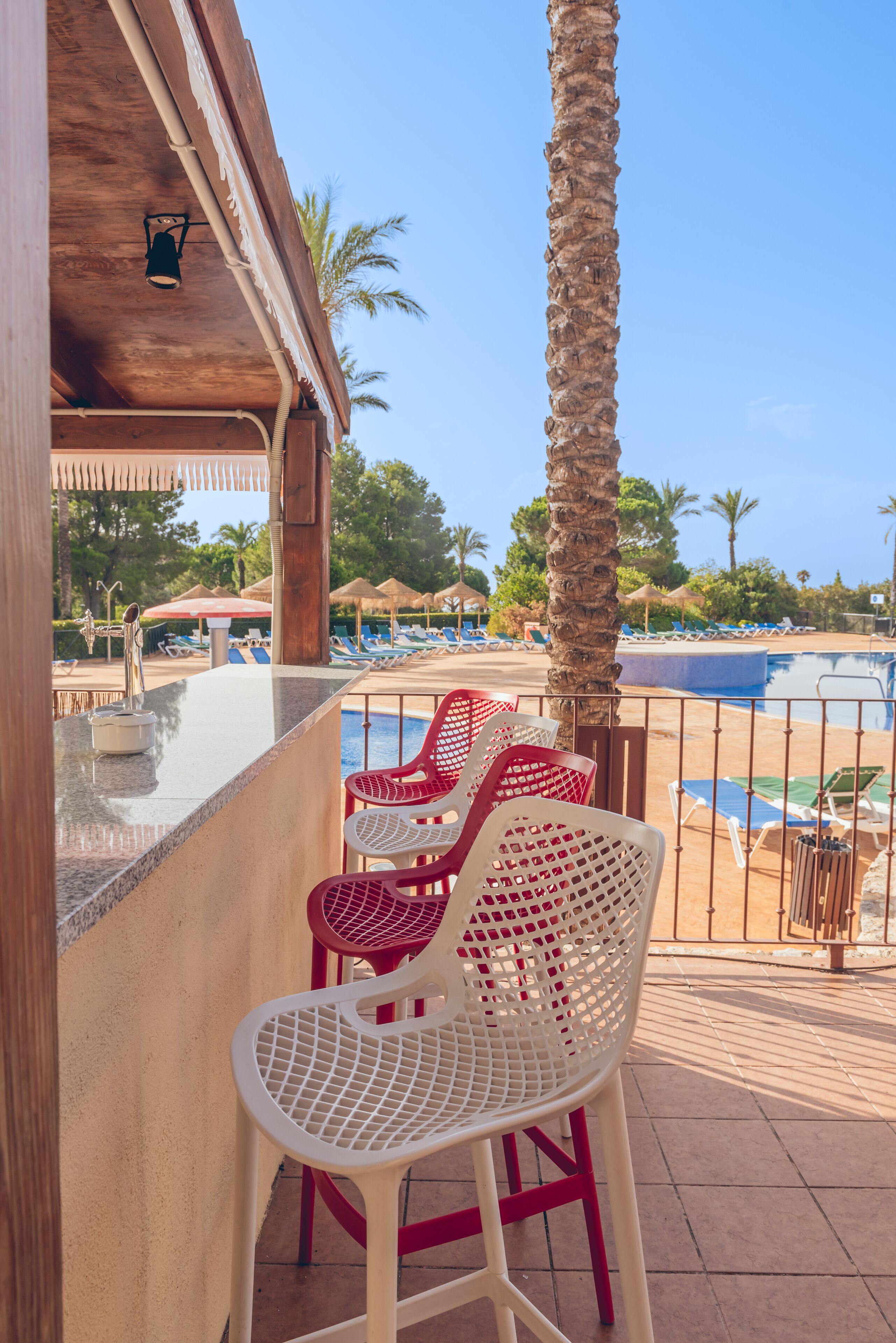 A poolside area with red and white chairs, a palm tree, and a view of the pool.