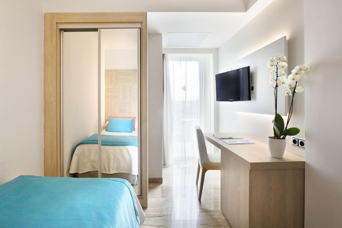 A hotel room with a bed, a desk, a chair, a TV, and a potted plant.
