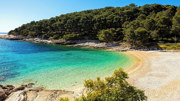 A coastal beach with clear turquoise waters, a sandy shore, and a forested hill in the background. - Hotel Aurora (Mali Losinj)