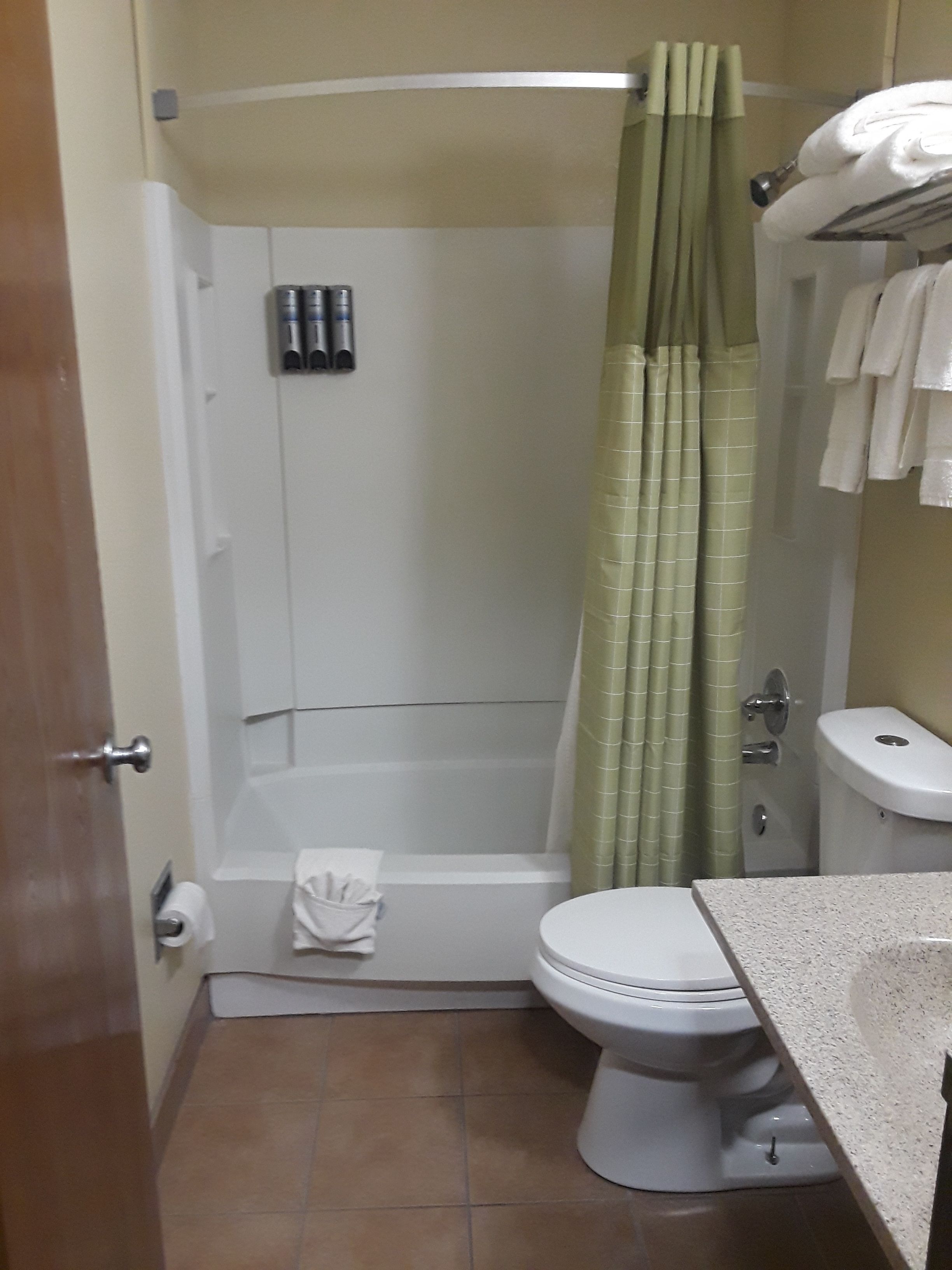 A bathroom with a shower, toilet, and sink.