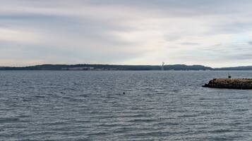 A calm body of water with a distant shoreline and a small island with a structure.