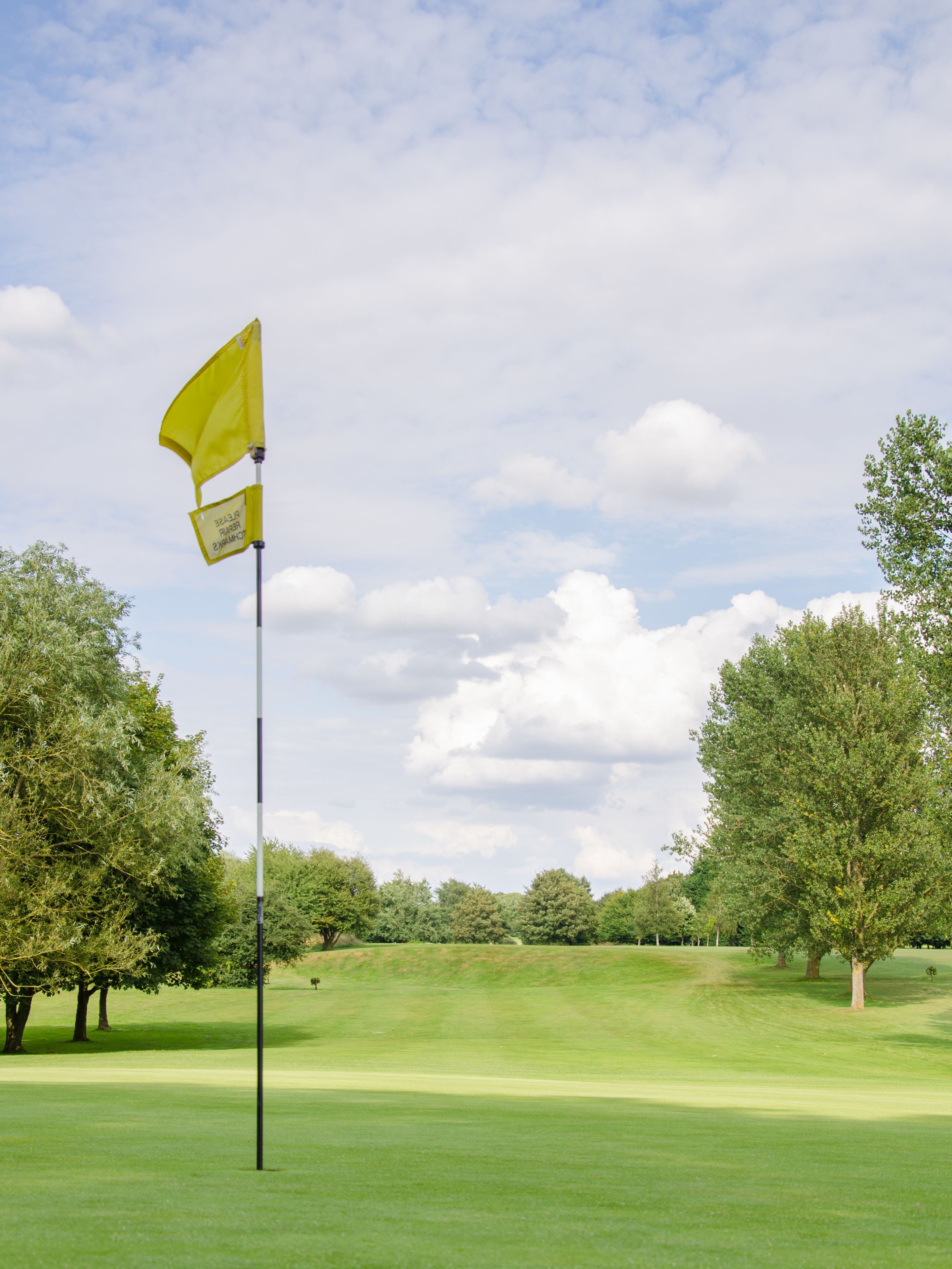 Een golfbaan met een vlag op een vlaggenmast, omgeven door bomen en een heldere lucht.