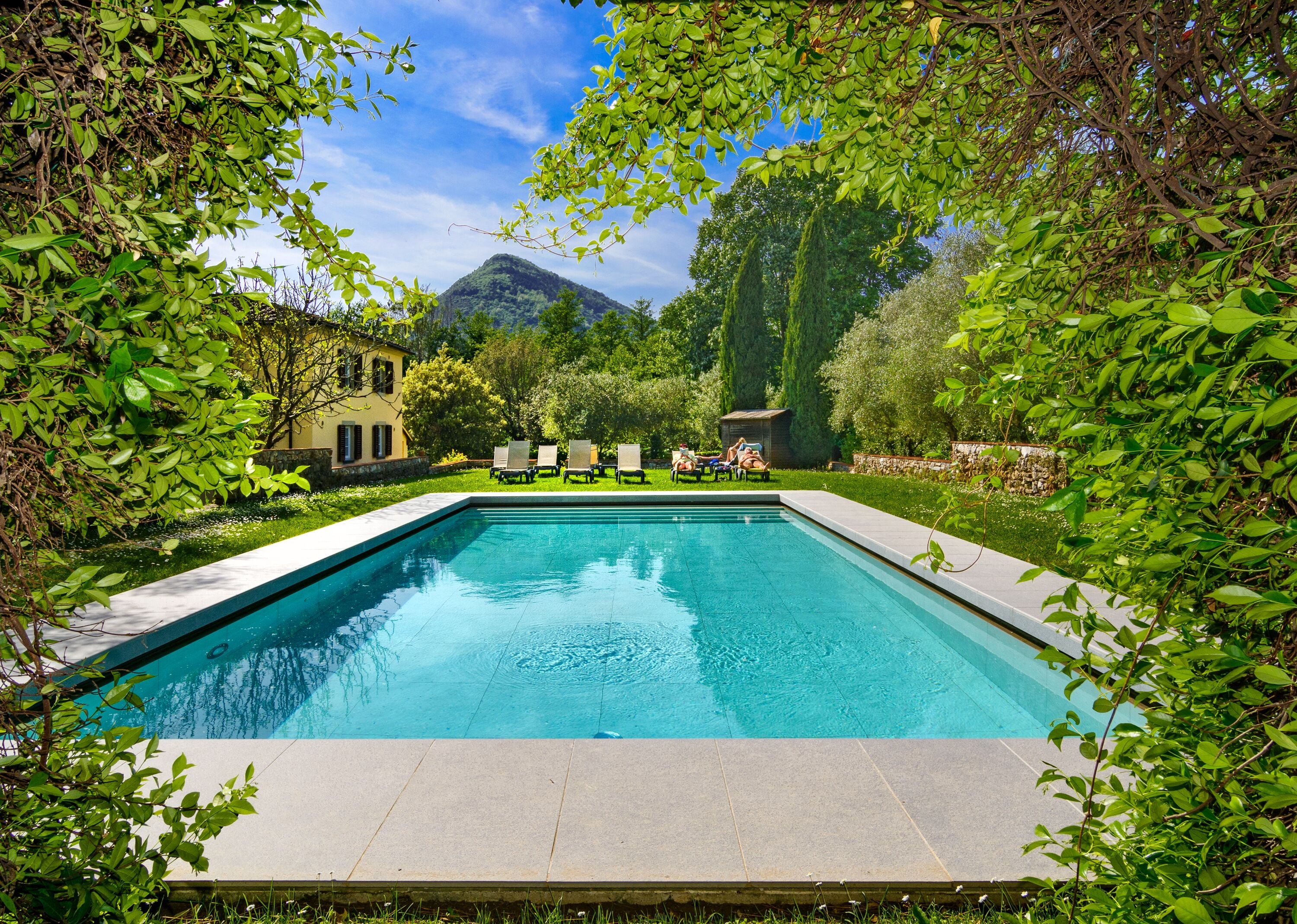 Outdoor pool, pool loungers