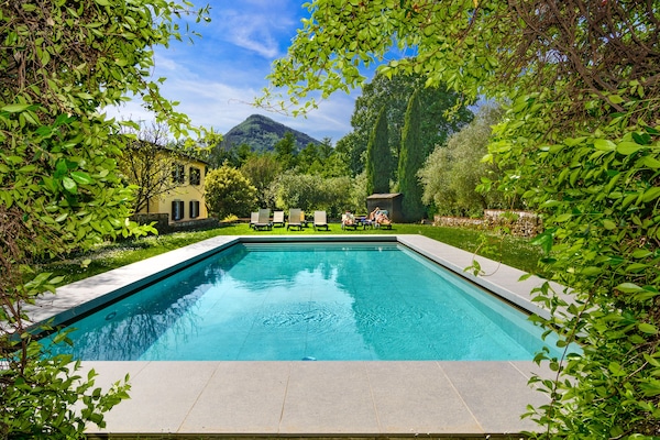 Outdoor pool, sun loungers