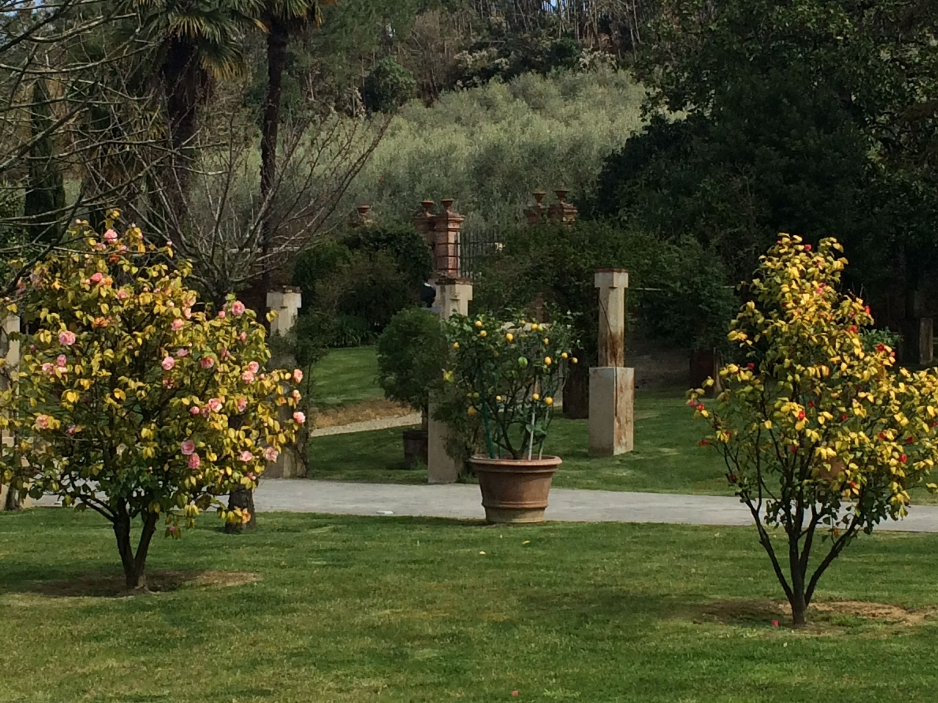 classic room with view | view from room