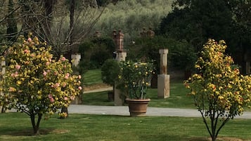 Classic-Doppelzimmer, Gartenblick | Ausblick vom Zimmer