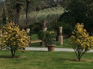 A garden with flowering trees and a pathway. - Albergo Villa Marta (Lucca)