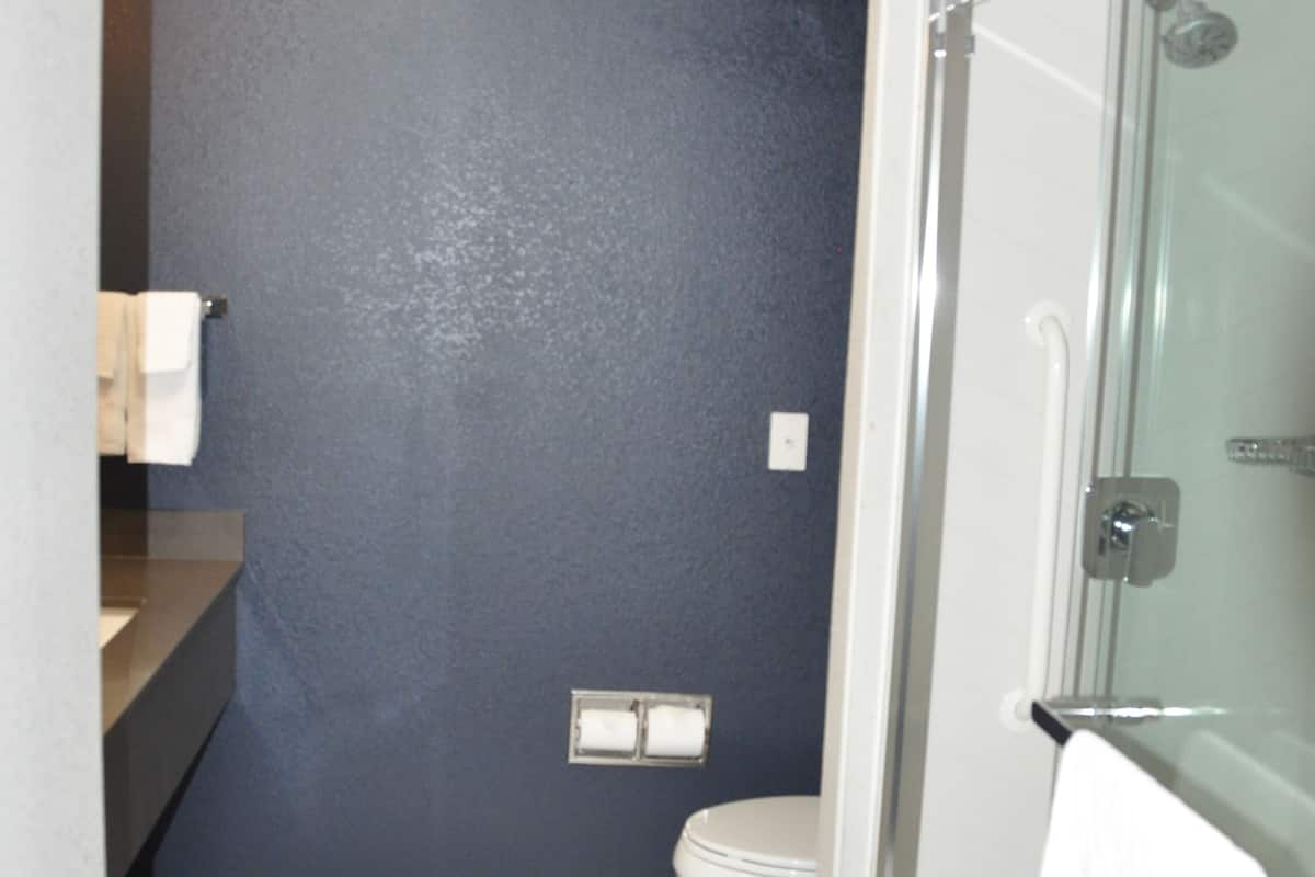 combined shower/bathtub, hydromassage showerhead, hair dryer, towels