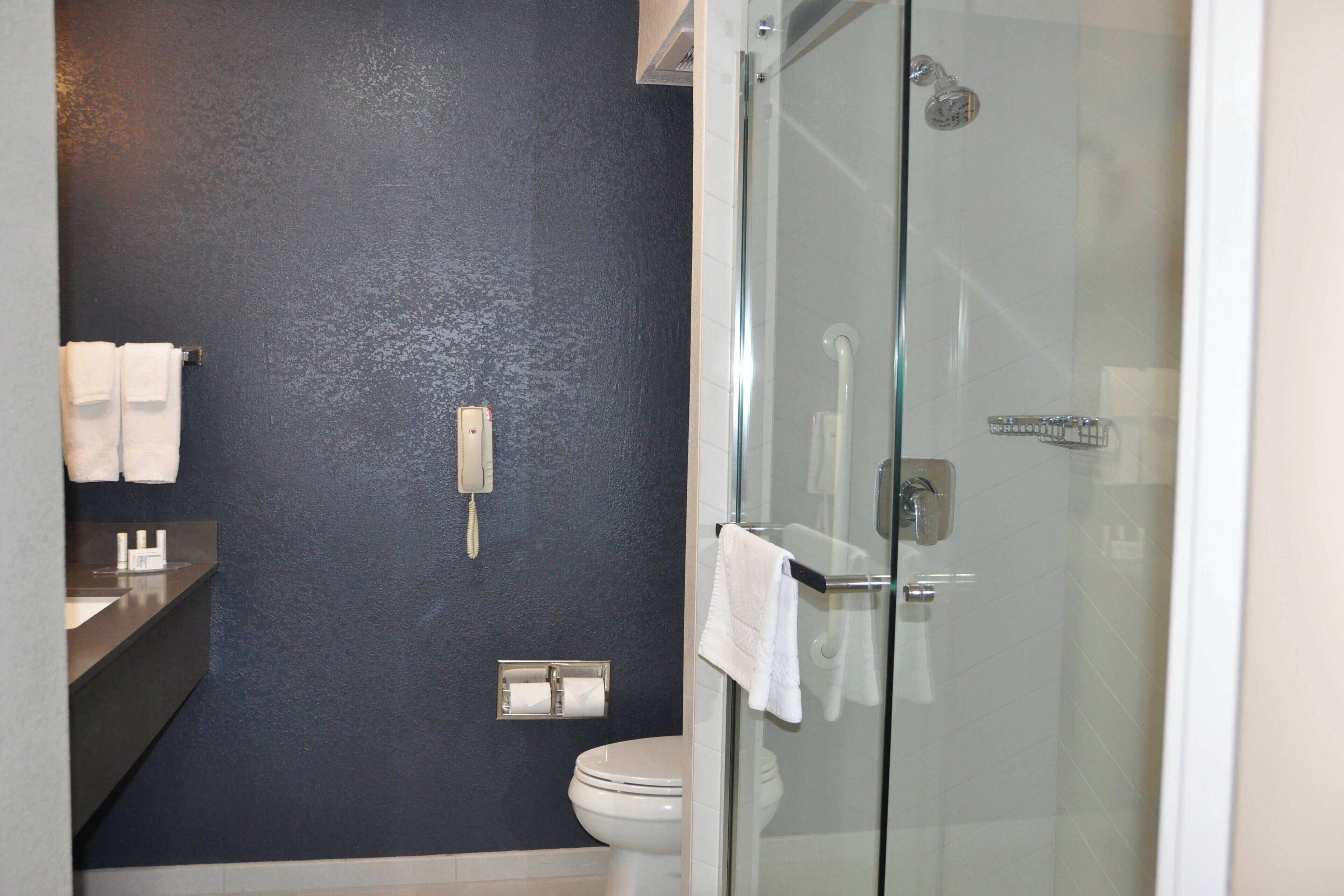 combined shower/bathtub, hydromassage showerhead, hair dryer, towels