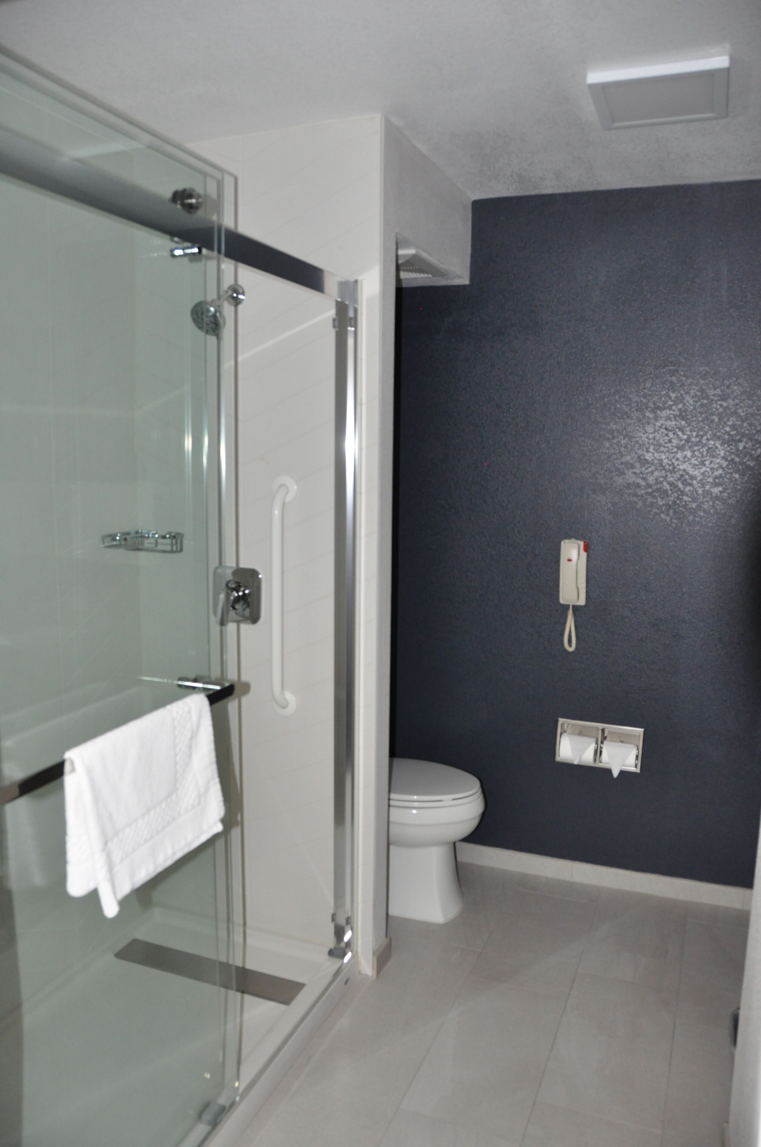 combined shower/bathtub, hydromassage showerhead, hair dryer, towels