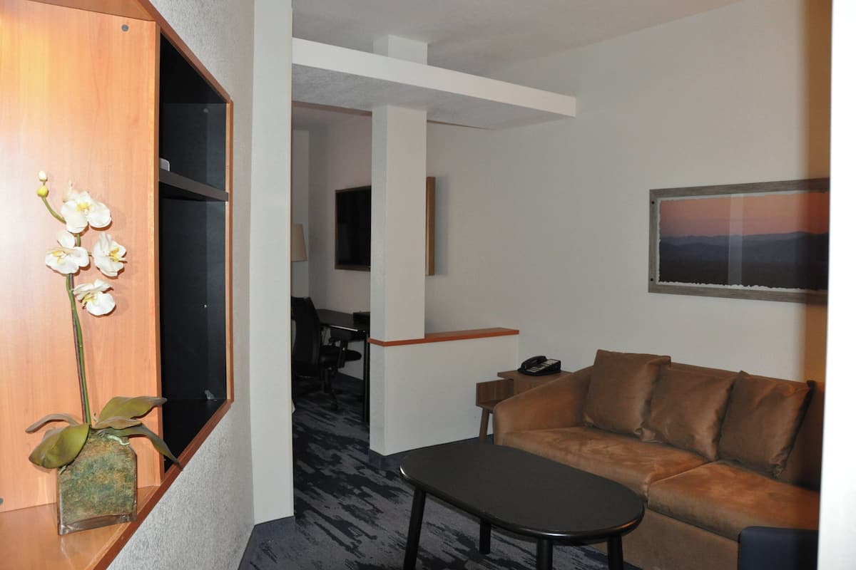 Een moderne woonkamer met een bruine leren bank, een zwarte salontafel en een houten bijzettafeltje met een vaas witte bloemen.