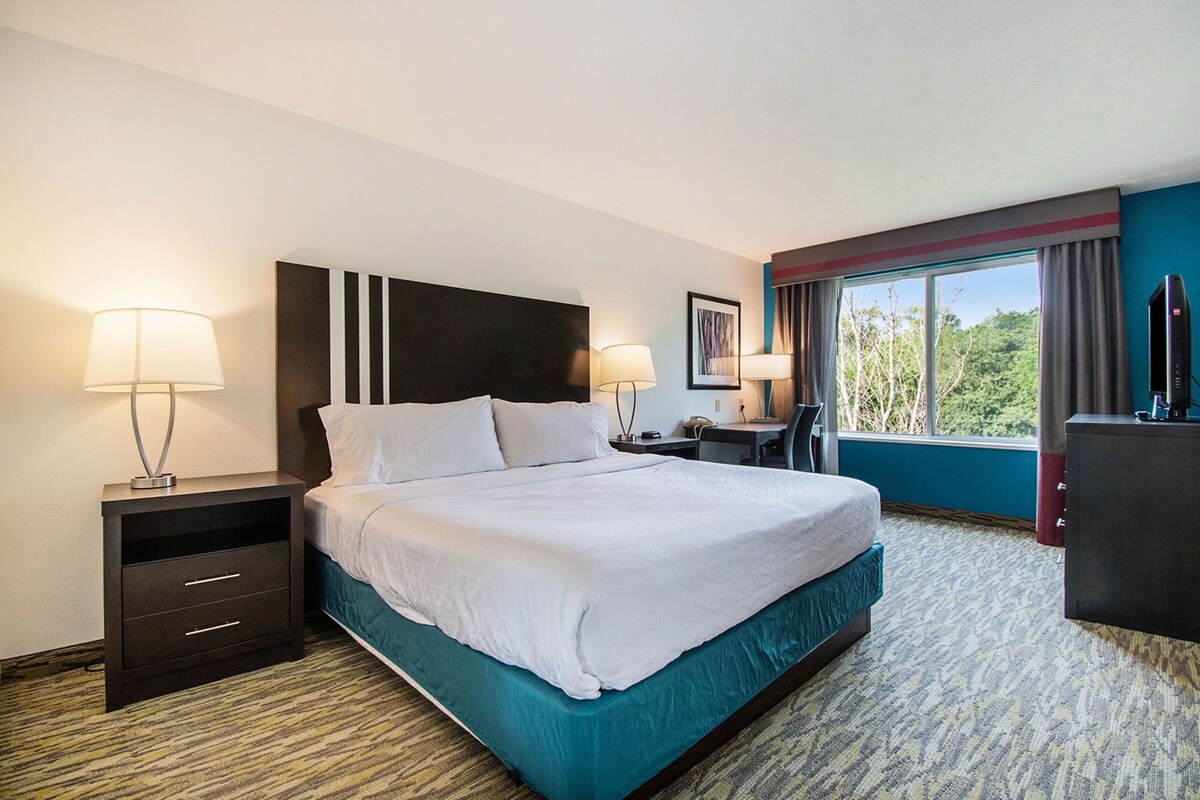 Une chambre d’hôtel avec un grand lit, deux tables de chevet avec des lampes, un bureau avec une chaise, une télévision et une fenêtre avec des rideaux.