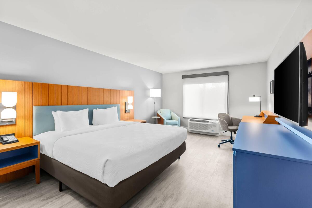 Room, 1 King Bed, Non Smoking