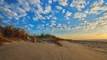A beach with sand dunes and sparse vegetation.