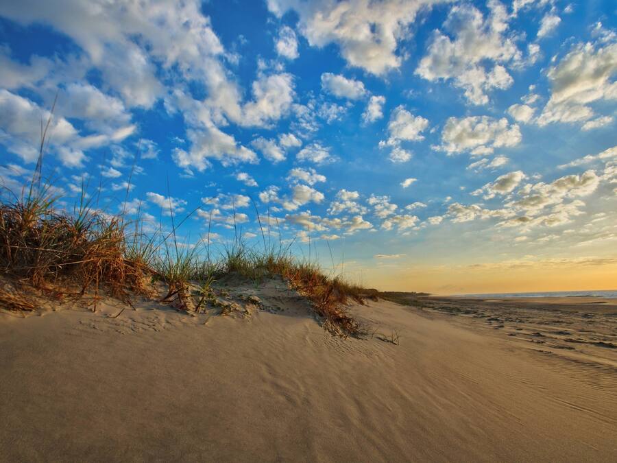 Ein Strand mit Dünen und spärlicher Vegetation.