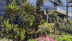A lush garden with various plants and flowers, a palm tree, and a building in the background. - Club Val D Anfa (Casablanca)