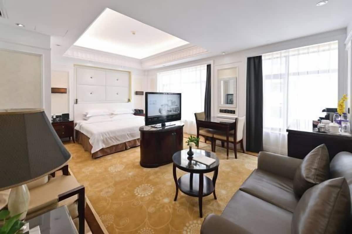 Habitación de hotel con cama, televisor, escritorio, sofá y una mesita con una planta.