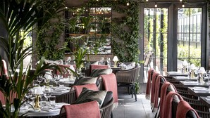 Un restaurante con mesas largas, sillas y un ambiente acogedor con plantas y luces de cuerda.