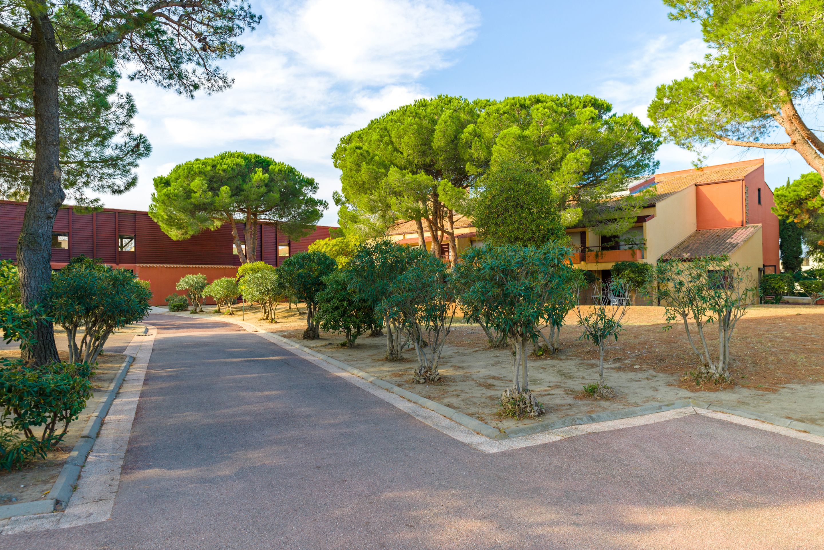 A residential area with a paved road, small trees, and a building with a red facade.