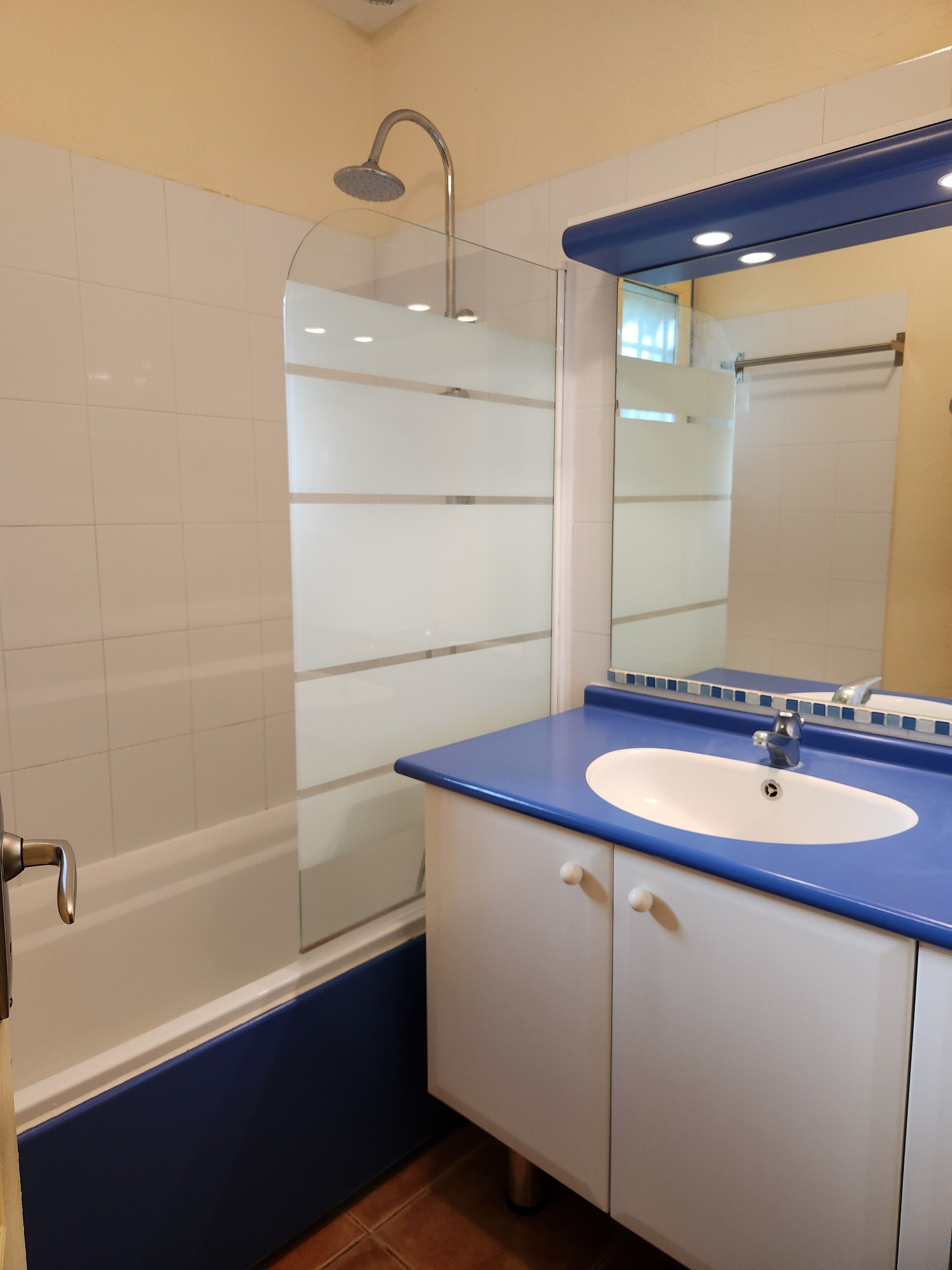 A bathroom with a bathtub, a shower, a sink, and a mirror.