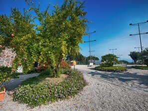 View from property - Parco Cartaromana (Ischia)