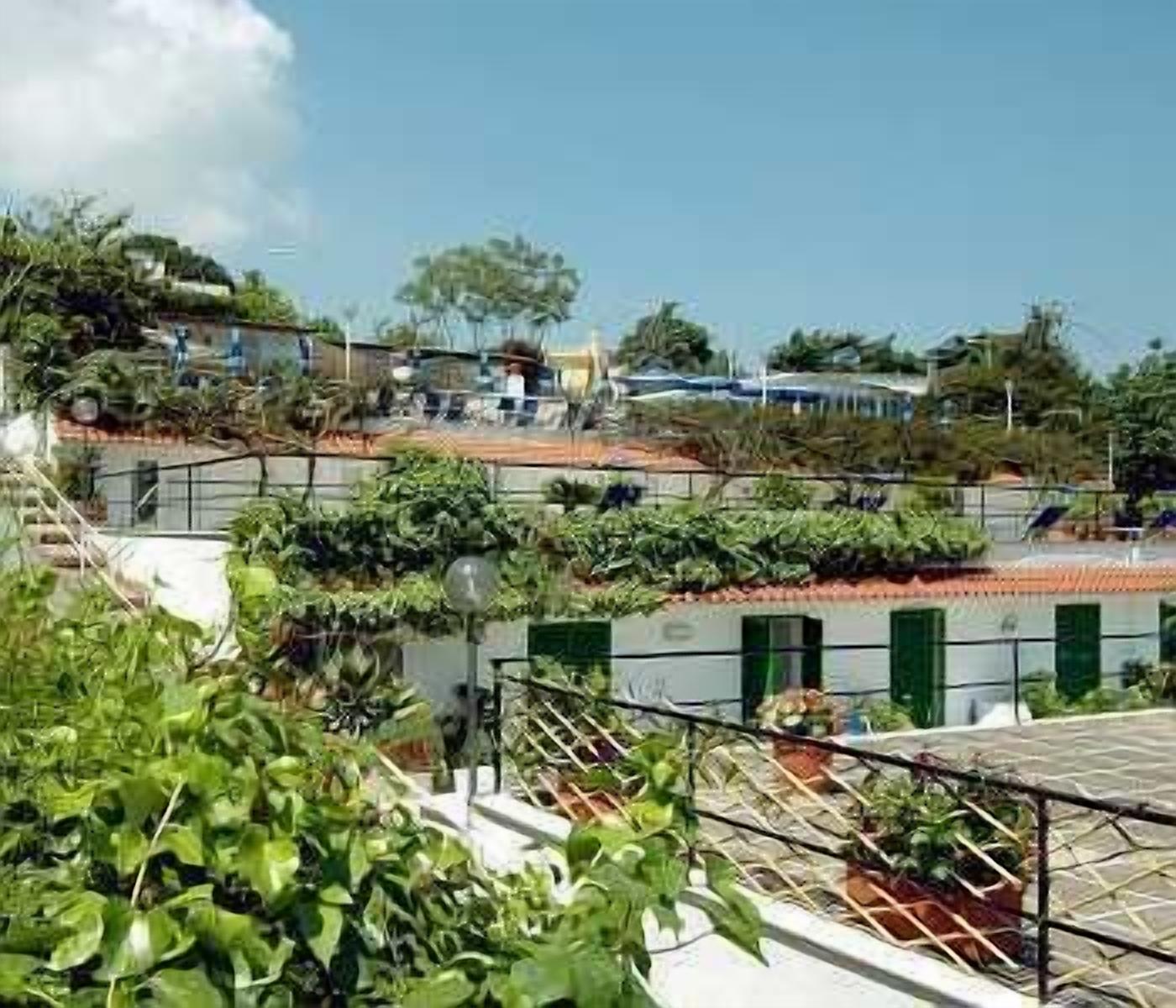 A rooftop garden with various plants and a metal railing.