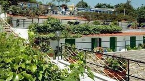 Un jardín en la azotea con plantas diversas y una barandilla de metal.