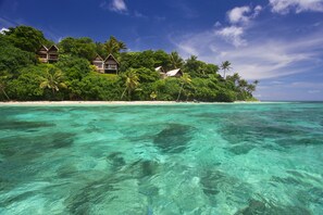 A beachfront property with multiple houses surrounded by lush greenery and palm trees. - Royal Davui Island Resort, Adults Only, Meals Inclusive (Royal Davui Island)