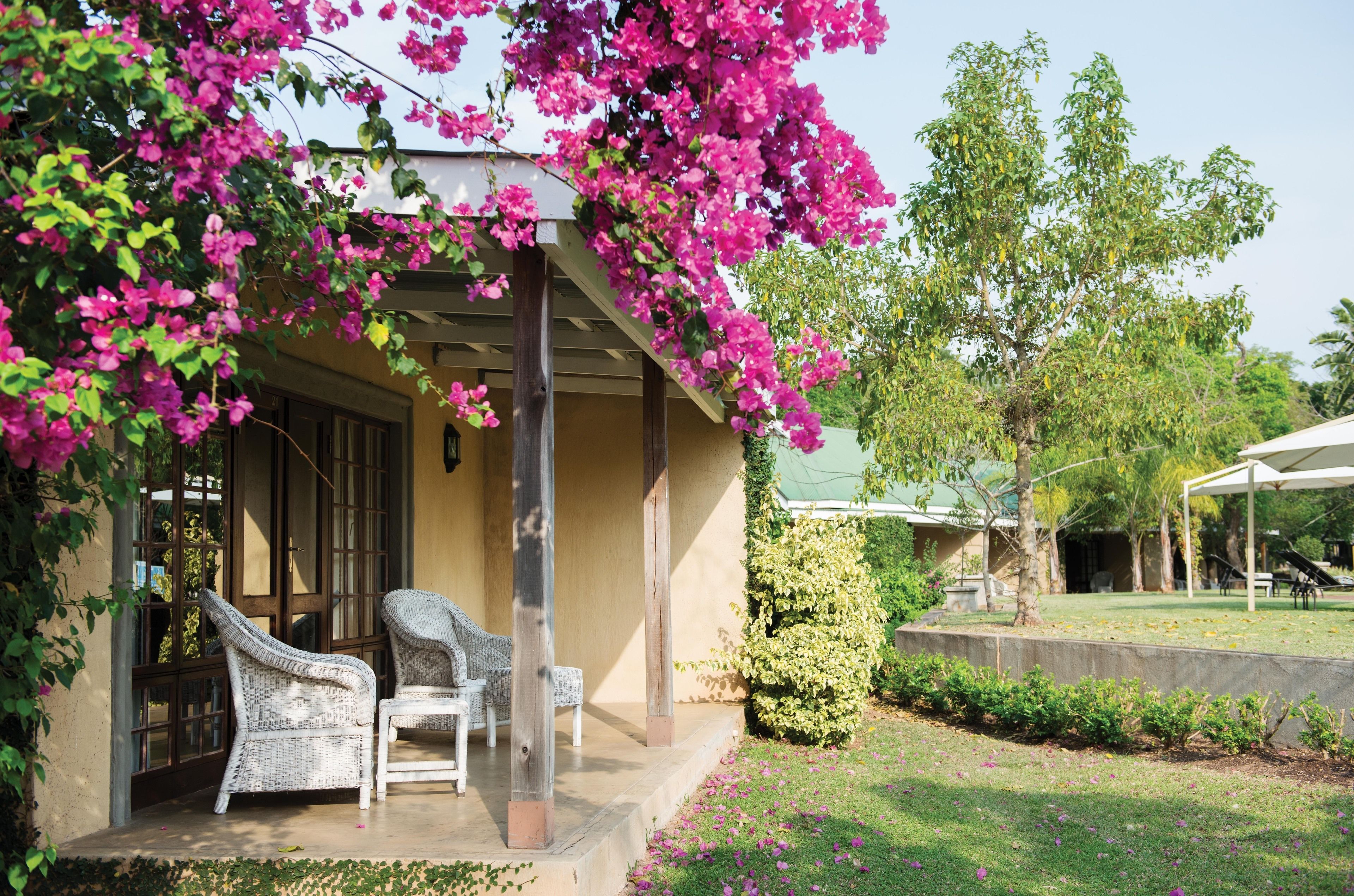 deluxe room | terrace/patio