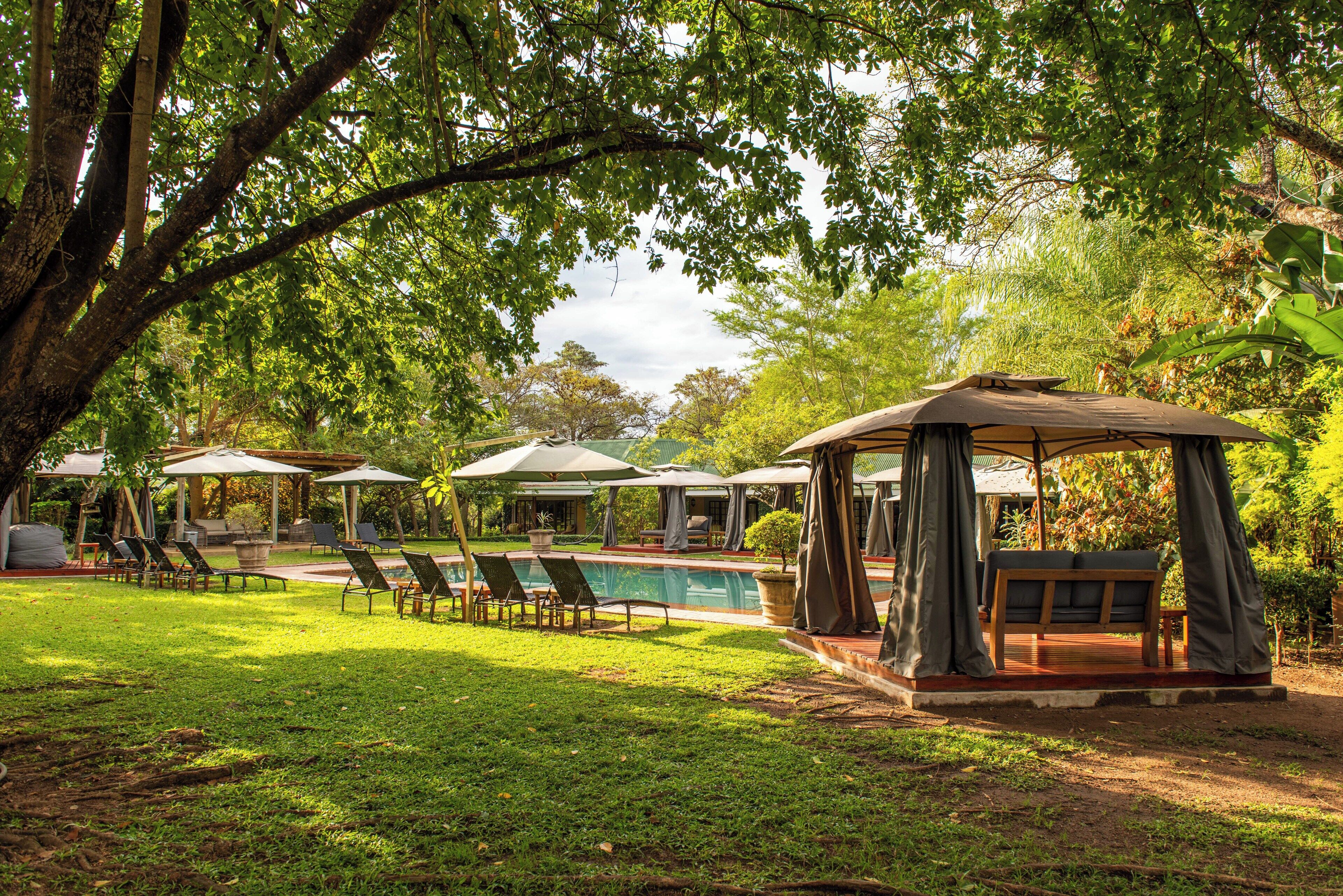 outdoor pool, pool umbrellas, pool loungers
