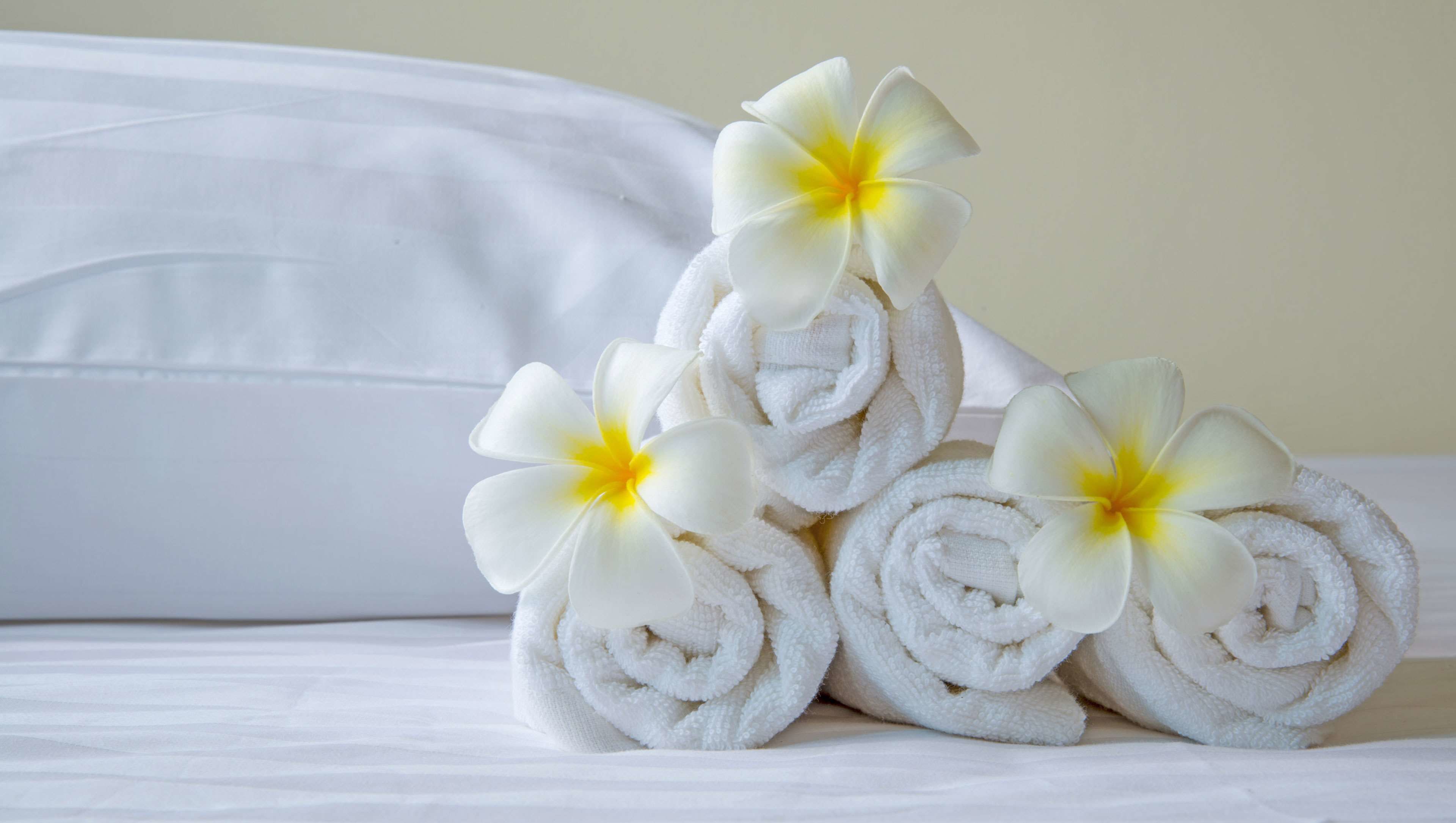 premium bedding, in-room safe, blackout curtains, soundproofing