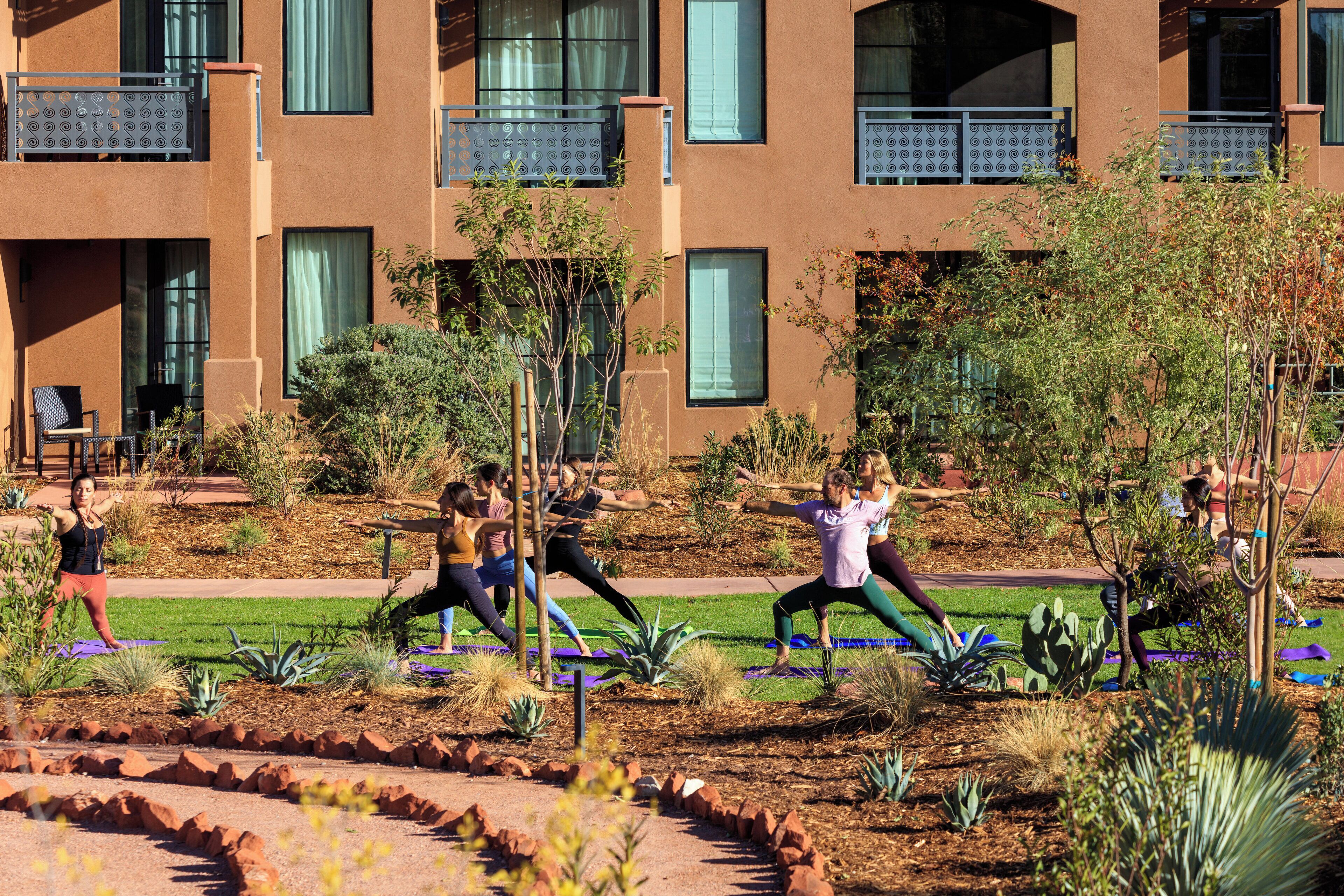 A courtyard with people exercising on yoga mats, surrounded by cacti and shrubs, with a building in the background.